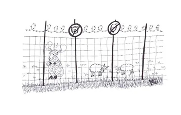 Drawing of sheep fenced in with moose
