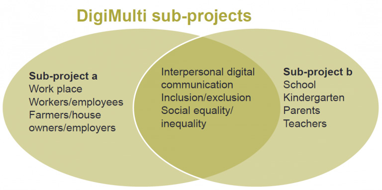 Figure describing the subprojects in DigiMulti