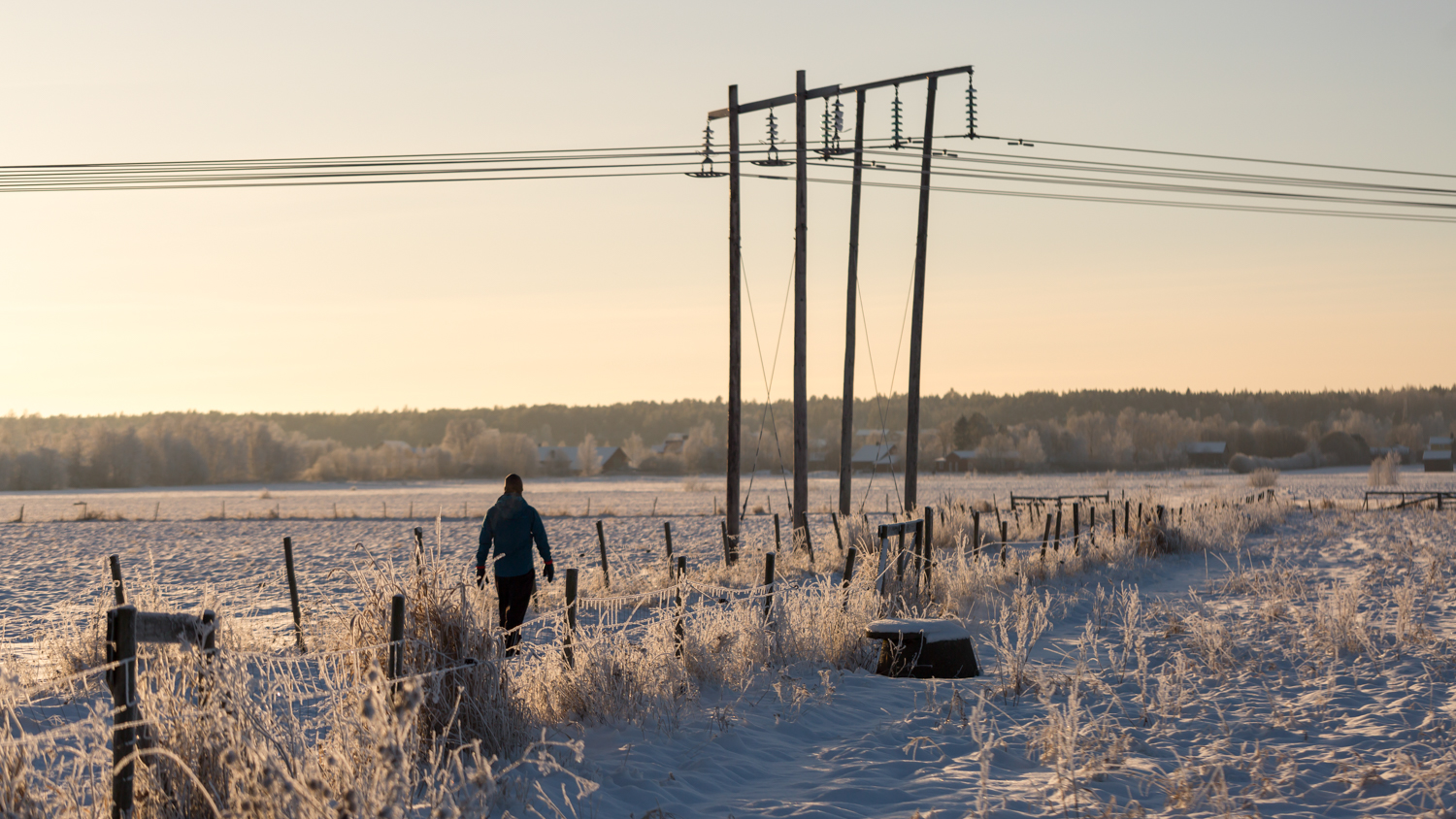 Mann som går tur under en strømledning på et jorde på vinteren