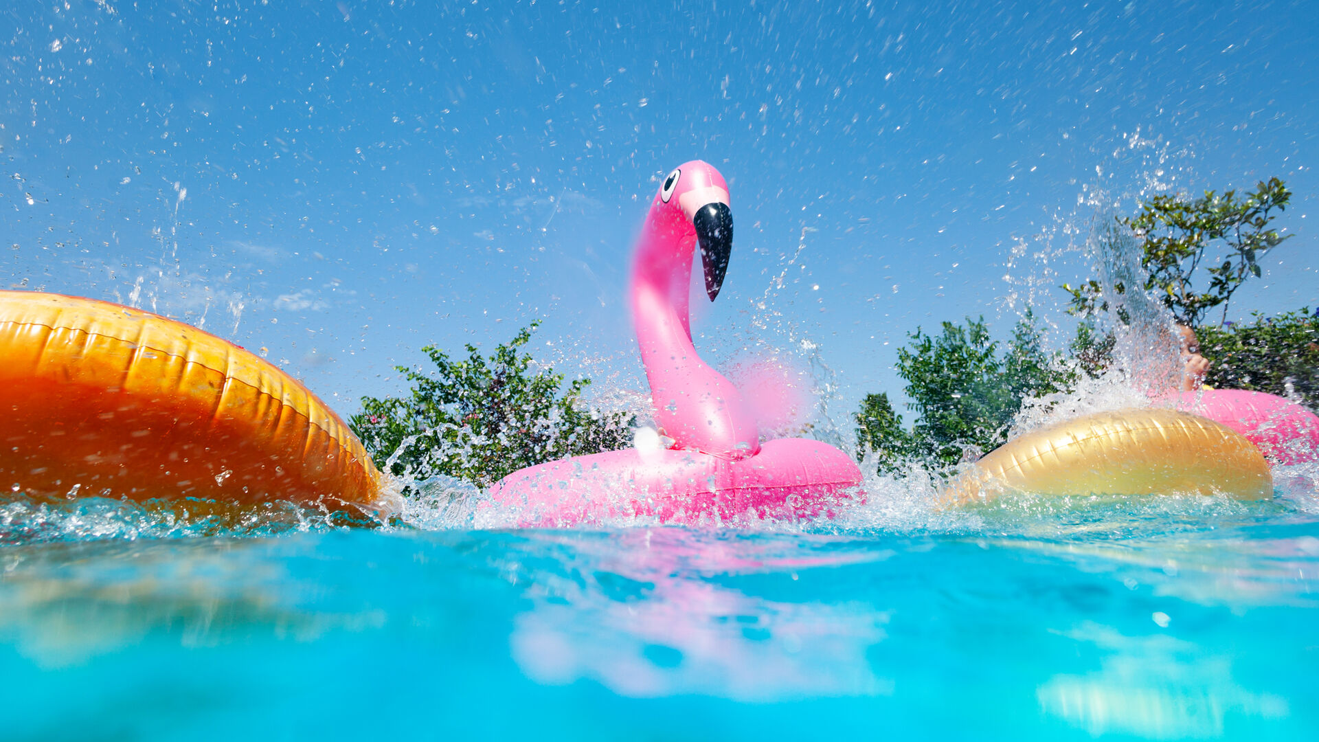 Rosa oppblåsbar flamingo i et basseng