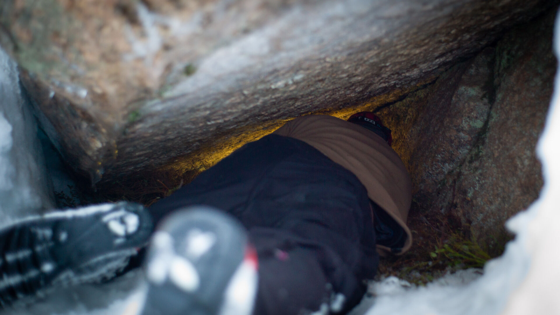 A man's legs is sticking out of the bear den as he is crawling inside to find a bear.