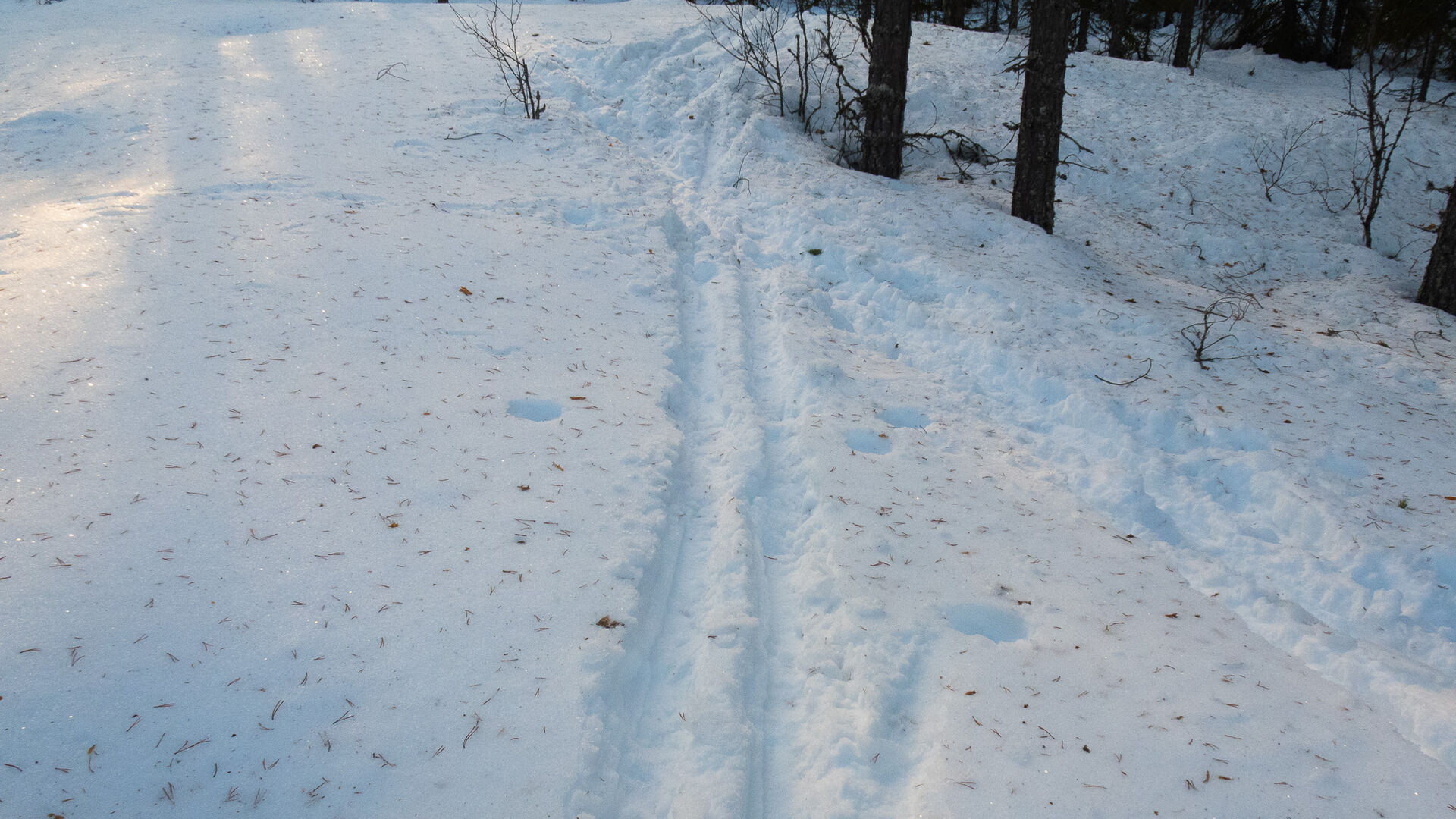 Ski tracks in the snow.