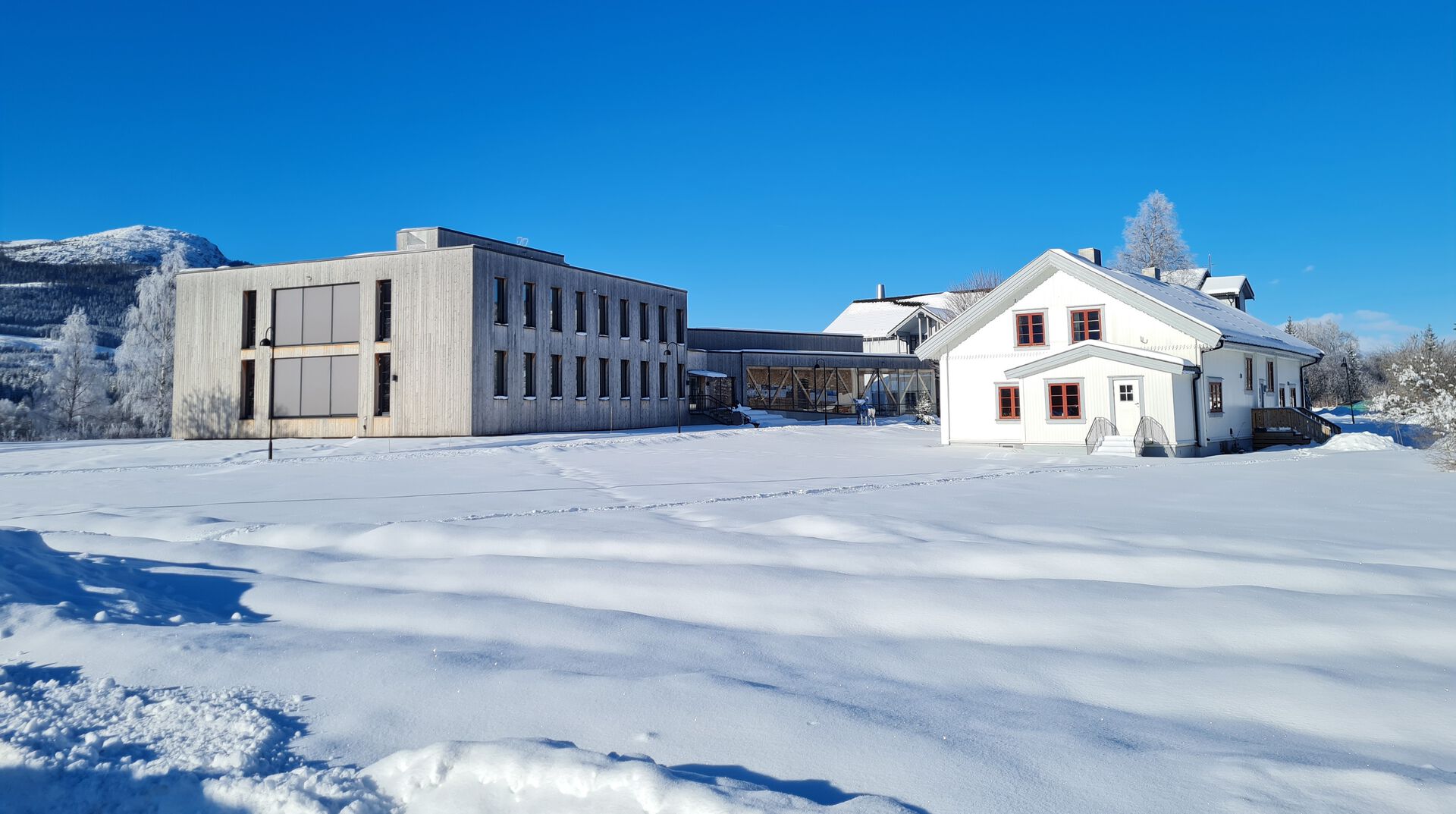 Bildet viser Annes Hus-bygget og Lærerboligen på campus Evenstad. Det er mye snø på bakken og himmelen er blå.