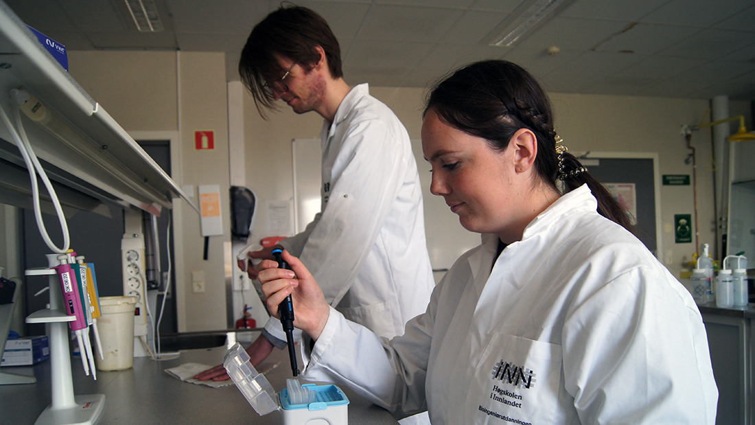To studenter som jobber sammen på en lab. 