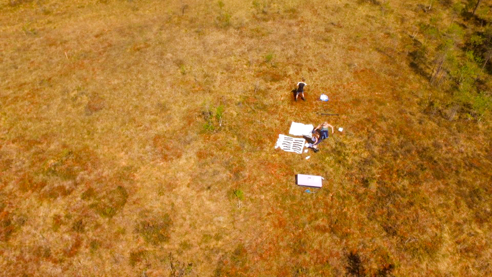 Dronebilde fra kartlegging av myr