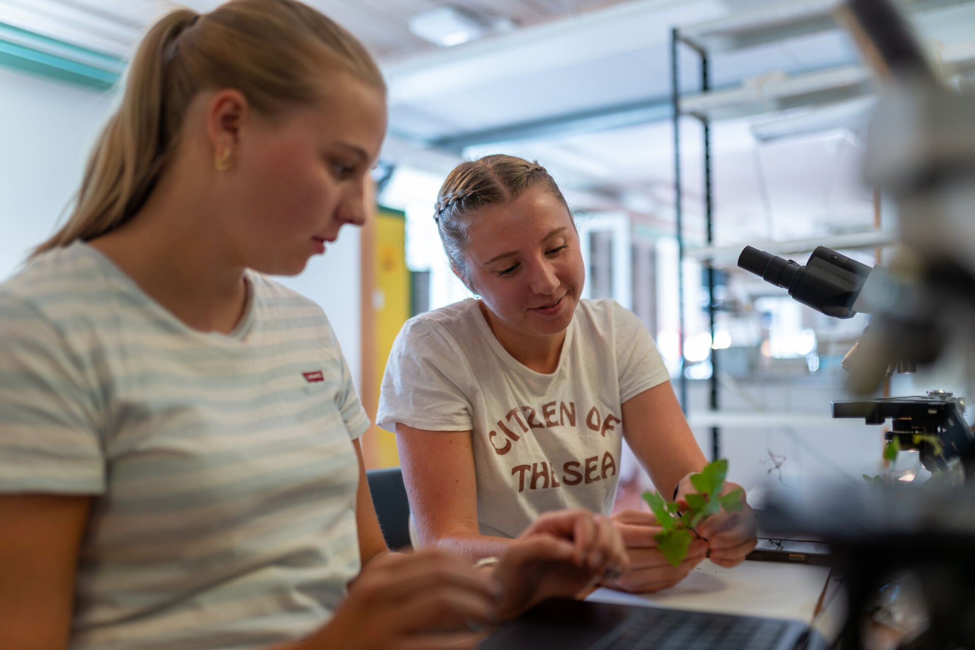 To studenter sitter på laboratoriet foran mikroskoper. En av dem holder en grønn plante i hånden, og de ser begge grundig på den.