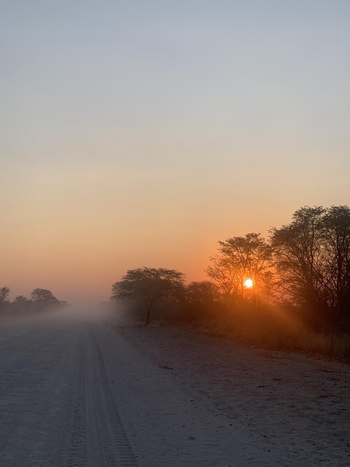 En solnedgang maler himmelen rødlig, og skimtes igjennom trærne som står langs en støvete landevei i Namibia.