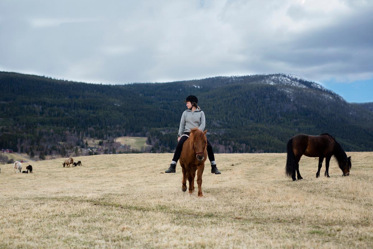 Jente som rider på hen hest over et jorde med fjell i bakgrunn. En hest til høyre og noen sau i bak i bildet.